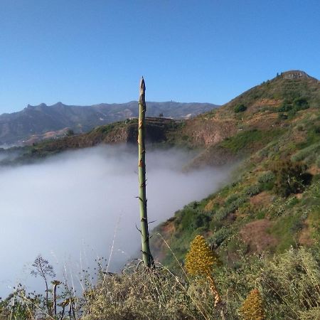 Mar De Flores Vega de San Mateo Kültér fotó