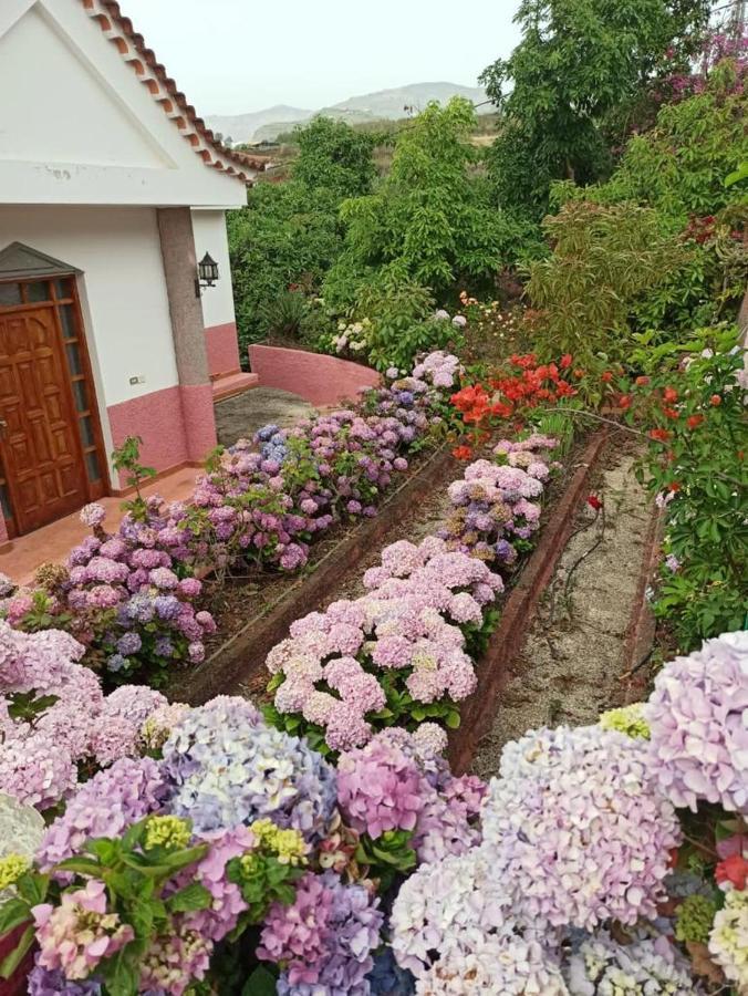 Mar De Flores Vega de San Mateo Kültér fotó